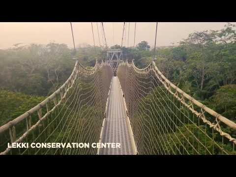Explore Lekki Conservation Centre - Nature, Adventure & Wildlife | Lagos