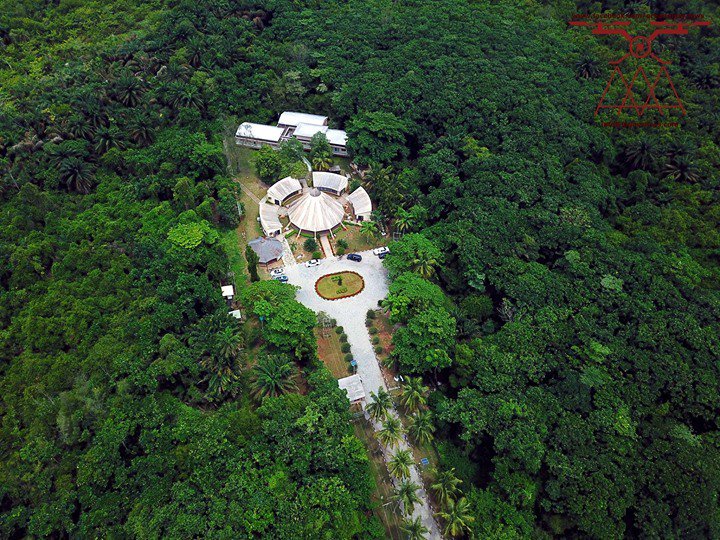 Visit Lekki Conservation Centre - Nature & Adventure in Lagos | Apartments.ng