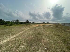 Buy Affordable Hectares of Land in Lagos, Abuja, and Beyond | Apartments.ng