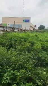 Prime 1.1 Hectare Commercial Land for Sale Along Kubwa Expressway, Abuja