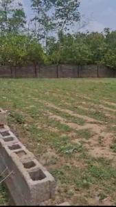 1,500sqm Residential Joint Venture Land in Dakibiyu/Jabi, Abuja
