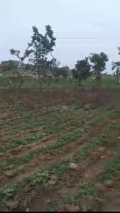 1 Hectare Joint Venture Residential Development Land for Estate Project – Lugbe, Abuja