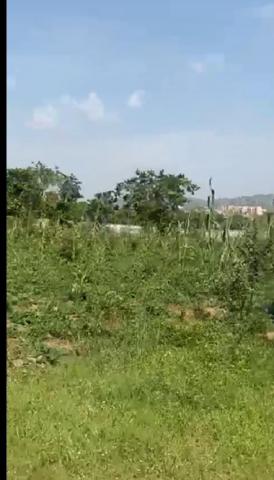 223 Acres of Prime Industrial Land for Sale Along Lagos–Ibadan Expressway (Ishara Axis)