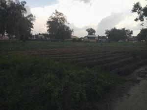 Land & Commercial Shops for Joint Venture at Dadin Kowa, Jos