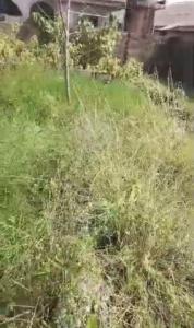 25ft × 45ft Fenced Plot for Sale in Ikola, Alagbado, Lagos