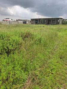 500sqm Vacant Land for Sale Off Monastery Road, Sangotedo, Lagos