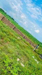 BrookStone Estate Land for Sale Along Moniya–Iseyin Road, Ibadan, Oyo State