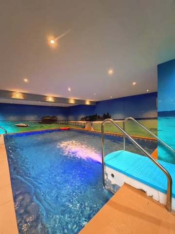 Luxury Furnished Studio Apartment with Swimming Pool for Short Let in Opebi, Ikeja, Lagos
