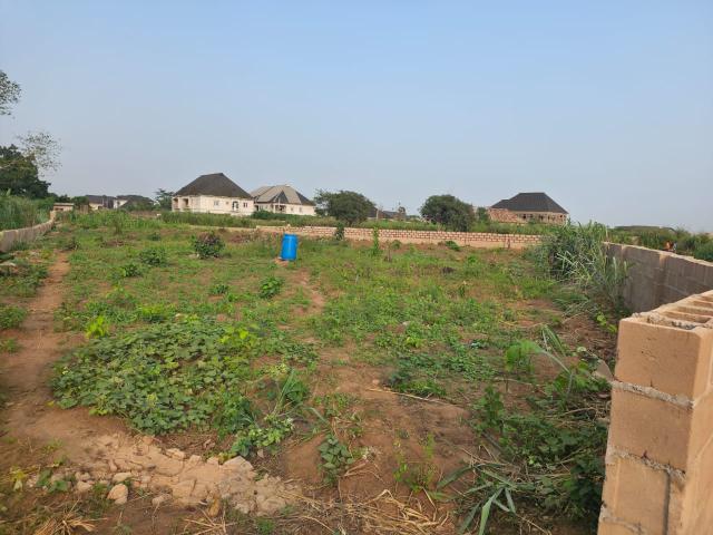 Fenced 1,729.485sqm Land for Sale Opposite Christopher University, Mowe, Ogun State