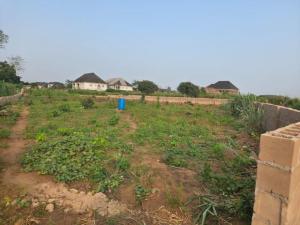 Fenced 1,729.485sqm Land for Sale Opposite Christopher University, Mowe, Ogun State