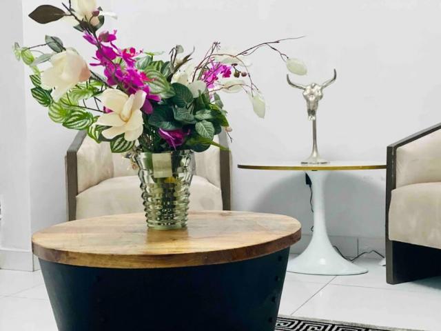 Sophia's 5 Star Short let Apartment in Lekki