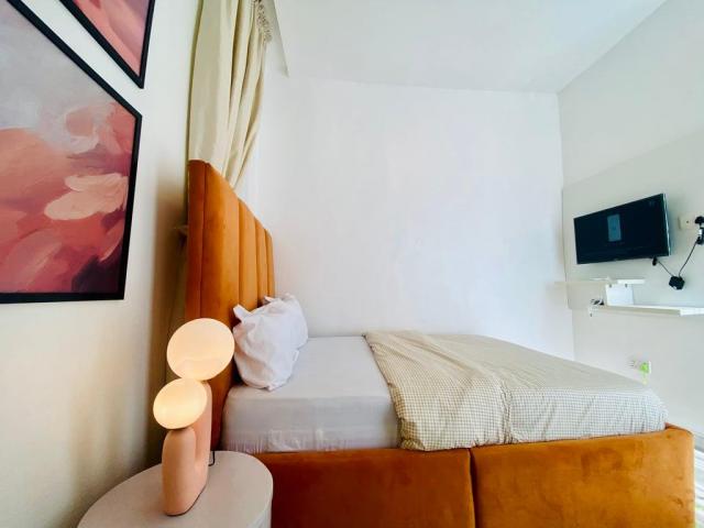 Ador's Luxurious Apartment in Osapa