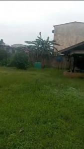 Prime 800sqm Residential Land for Sale at Gowon Estate, Egbeda, Lagos